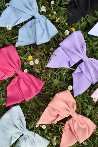 ACCESSORI - Fermacapelli con fiocco